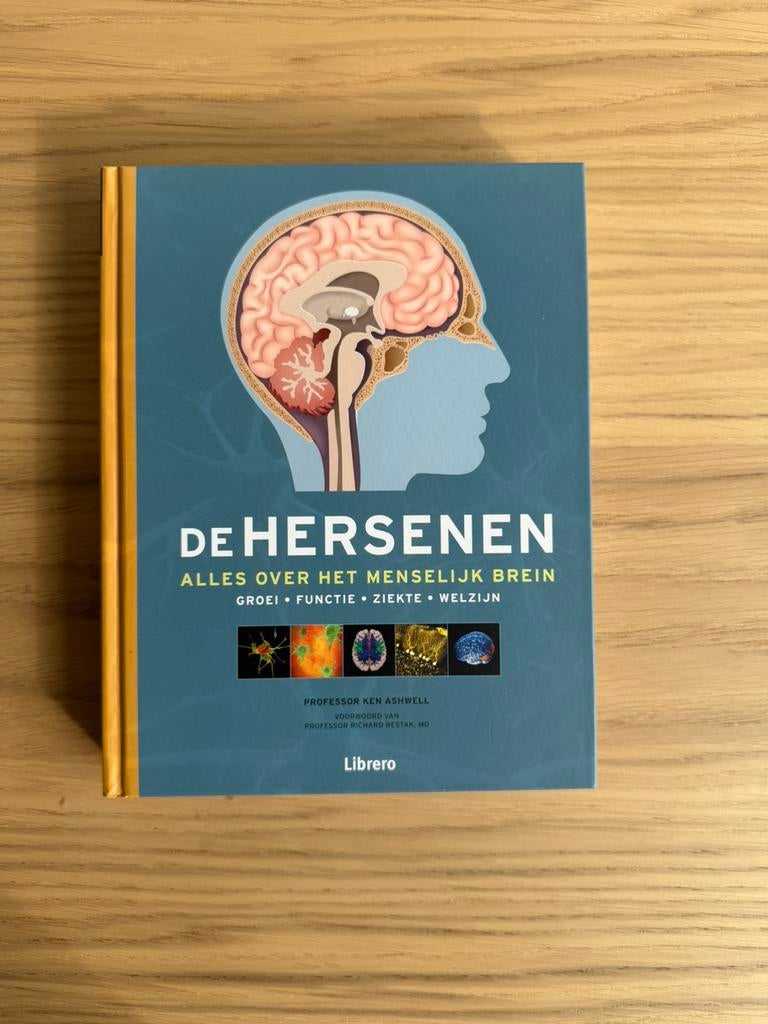 Boek: De Hersenen – Alles over het menselijk brein (Librero), Ophalen of Verzenden, Zo goed als nieuw, Sociale psychologie