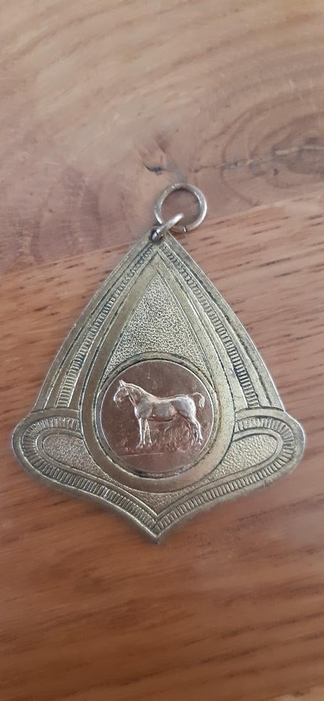 Medaille paarden fokdag 1964 st Antonus, Postzegels en Munten, Penningen en Medailles, Ophalen of Verzenden, Brons