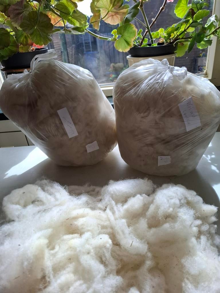 Gewassen wol met lanoline,, Ophalen of Verzenden, Nieuw, Spinwol