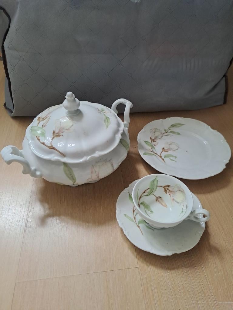 Hutschenreuther Magnolia-serie, Ophalen of Verzenden