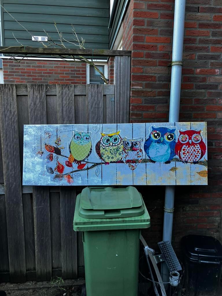 Canvas met uiltjes, Ophalen of Verzenden, Zo goed als nieuw
