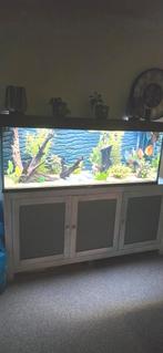 Juwel rio 450, Dieren en Toebehoren, Vissen | Aquaria en Toebehoren, Ophalen, Leeg aquarium