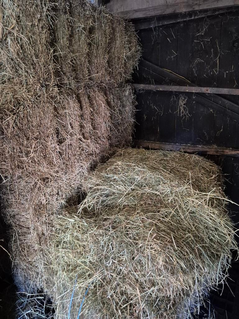 5 pakjes hooi, Ophalen, Vee