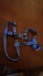 Rogz utitity tuigje voor kleine hond of pup, Ophalen of Verzenden, Zo goed als nieuw