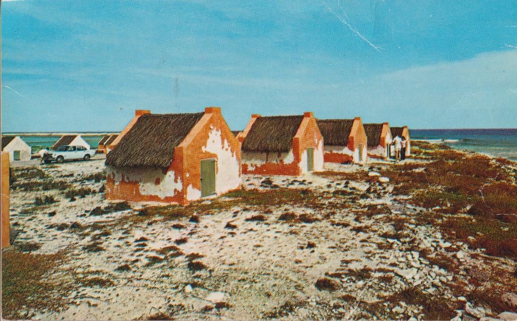 Bonaire Gerestaureerde Slaven huisjes, Verzamelen, Ansichtkaarten | Themakaarten, Verzenden, 1960 tot 1980, Ongelopen, Gebouw