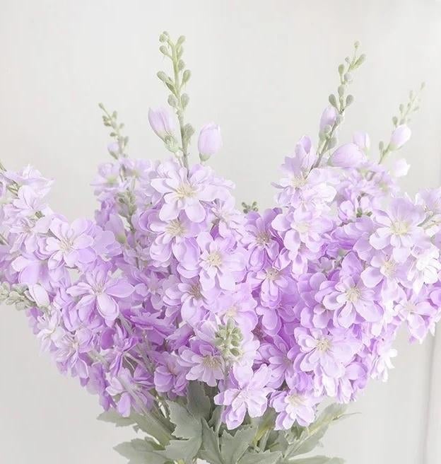 RIDDERSPOOR (DELFHINIUM) LILA