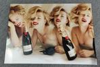Grote MOET & CHANDON Champagne Bar Pub Reclame Poster, Ophalen of Verzenden, Nieuw, Reclamebord