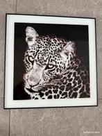 Jaguar / Panter | Schilderij | 50x50, Huis en Inrichting, Ophalen, 50 tot 75 cm, Zo goed als nieuw, Schilderij