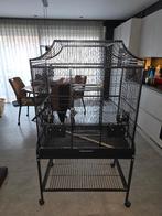 Kleine papagaaienkooi keddoc florida, Dieren en Toebehoren, Vogels | Hokken en Kooien, Ophalen, Zo goed als nieuw, Metaal, Vogelkooi
