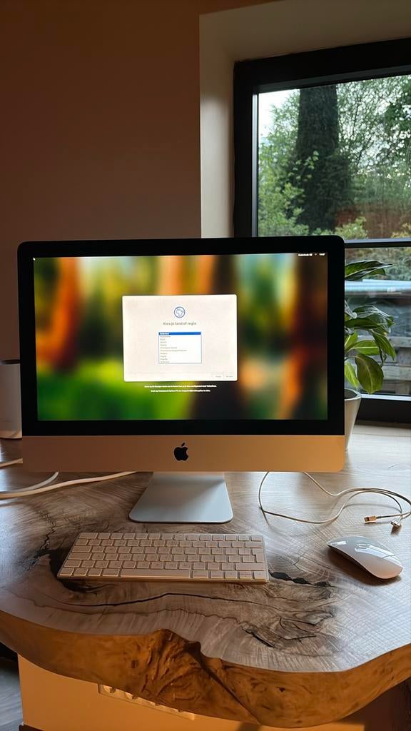 iMac 4K 21.5” (2019) - 16GB - i5 - Incl. MagicKeyboard/mouse, Ophalen, Gebruikt, IMac, 3 tot 4 Ghz