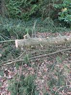 Stam dennenhout - 10 meter, Tuin en Terras, Haardhout, Minder dan 3 m³, Ophalen, Overige houtsoorten, Stammen