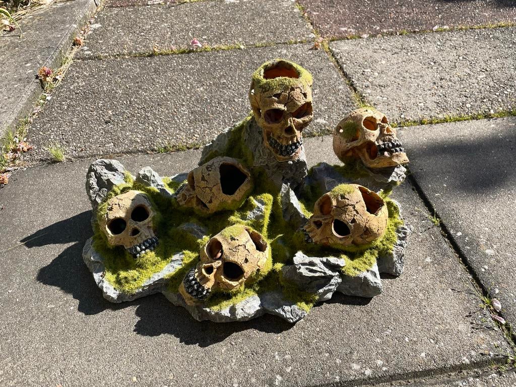 Groot aquarium ornament, Ophalen, Zo goed als nieuw, Decoratie