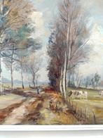 Koeien bij Langeveen Ton Ancone, Ophalen of Verzenden