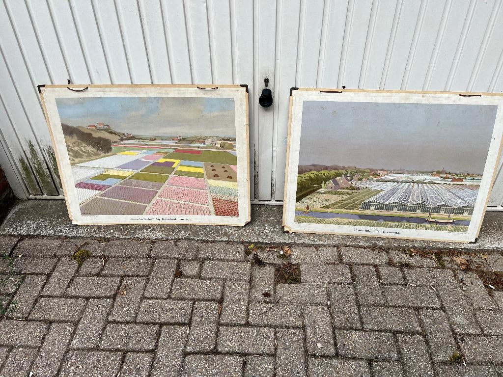 Schoolplaten bloembollenteelt en groententeelt, Antiek en Kunst, Antiek | Schoolplaten, Ophalen of Verzenden, Stad- en Dorpsgezichten