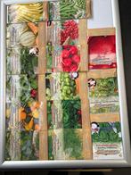 GartenStar Zadenpakket - 155 stuks, 15 soorten groenten en k, Ophalen of Verzenden, Voorjaar, Volle zon, Zaad
