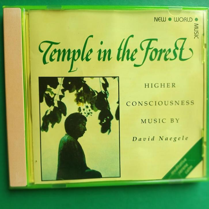 DAVID NAEGELE - TEMPLE IN THE FOREST, Cd's en Dvd's, Cd's | Meditatie en Spiritualiteit, Zo goed als nieuw, Overige typen, Ophalen of Verzenden