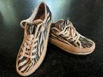 CaféNoir, NIEUW, maat 41, Ophalen of Verzenden, Nieuw, Sneakers of Gympen