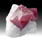 Spinel - Tanzania - fotoprint, Verzamelen, Natuur, Verzenden, 1980 tot heden, Foto