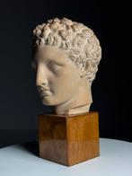 Hoofd beeld grieks gips, Antiek en Kunst, Kunst | Beelden en Houtsnijwerken, Ophalen