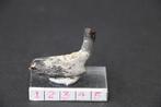 Enchodus Boven-Krijt, Verzamelen, Mineralen en Fossielen, Ophalen of Verzenden, Fossiel