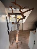 Houten decoratie boom, Ophalen of Verzenden