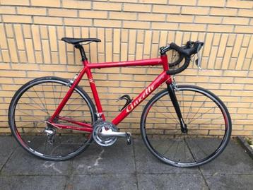 Gazelle 57 cm beschikbaar voor biedingen
