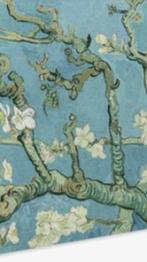 Van Gogh Amandelbloesem Canvas 160x120, Ophalen, Oorspronkelijke maker, 125 cm of meer, 75 cm of meer