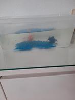 3 leuke vissen, Dieren en Toebehoren, Vissen | Aquariumvissen, Vis