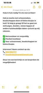 Schoonmaker, Overige vormen