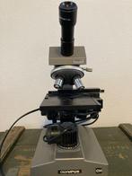 Olympus microscoop CH, Audio, Tv en Foto, Optische apparatuur | Microscopen, Gebruikt, Ophalen of Verzenden, Minder dan 400x, Biologische microscoop