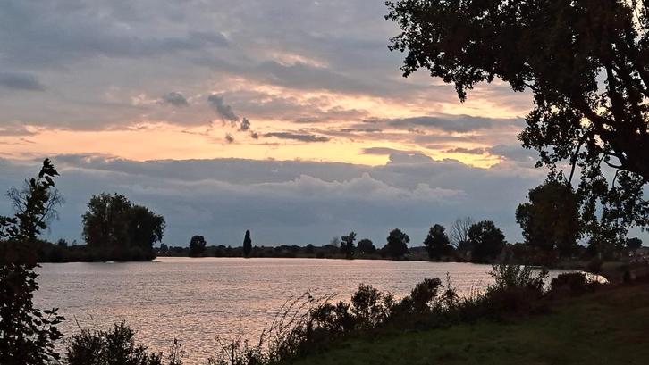 Vrouwelijke reisgenoot., Contacten en Berichten, Reisgenoten en Carpoolers