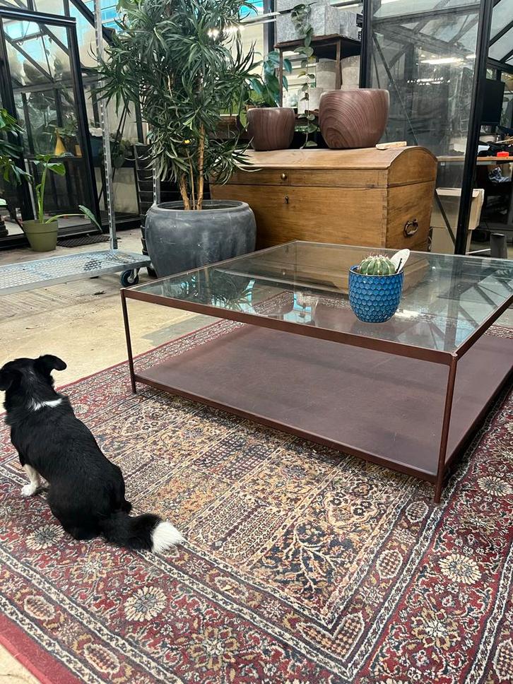 Stalen Salontafel met Glasplaat - Plantentafel, Huis en Inrichting, Tafels | Salontafels, Gebruikt, Minder dan 50 cm, 100 tot 150 cm