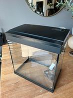 Nog zeer goed aquarium Superfish Aqua 30 LED Tropical, zwart, Dieren en Toebehoren, Vissen | Aquaria en Toebehoren, Ophalen, Gebruikt