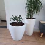 Bloempotten, Ophalen, Zo goed als nieuw, Rond, Minder dan 25 cm