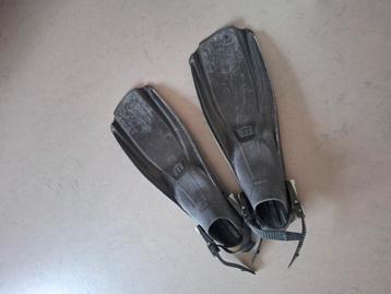 Mares zwem vinnen. beschikbaar voor biedingen