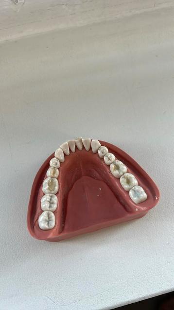 Kavo frasacokaak beschikbaar voor biedingen