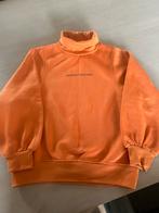 Trui maat 152 zara, Kinderen en Baby's, Meisje, Trui of Vest, Ophalen of Verzenden, Zo goed als nieuw