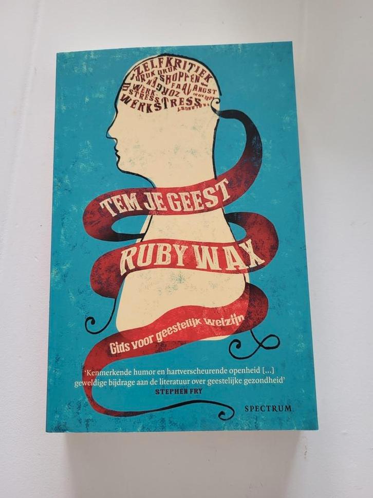 Ruby Wax - Tem je geest, Boeken, Psychologie, Zo goed als nieuw, Ophalen of Verzenden