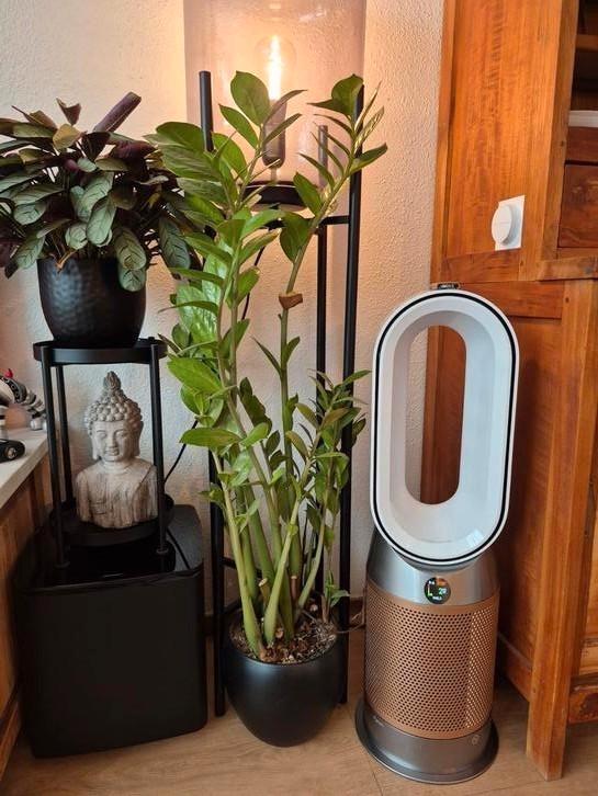 Dyson Purifier HP09 Hot+Cool Formaldehyde (Nikkel/Goud), Witgoed en Apparatuur, Luchtbehandelingsapparatuur, Zo goed als nieuw