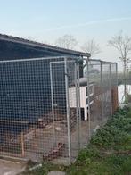 Hondenkennel/ konijnenhok / kippenhok Gegalvaniseerd, Dieren en Toebehoren, Ophalen, 110 cm of meer, 100 cm of meer