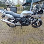 Yamaha fazer 600, Particulier