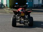 Access Triton Quad | 280cc | Automaat | L7e, 280 cc, 1 cilinder, 12 t/m 35 kW