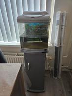 Superfish aqua40, Dieren en Toebehoren, Vissen | Aquaria en Toebehoren, Ophalen, Zo goed als nieuw, Leeg aquarium