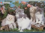 Puzzel Perzische katten, Ophalen of Verzenden, Zo goed als nieuw