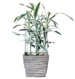 Plantensteun - Metaal - Bloemen - Groen - Set Van 3 - 75 Cm, Huis en Inrichting, Ophalen, Overige soorten, Minder dan 100 cm, Volle zon