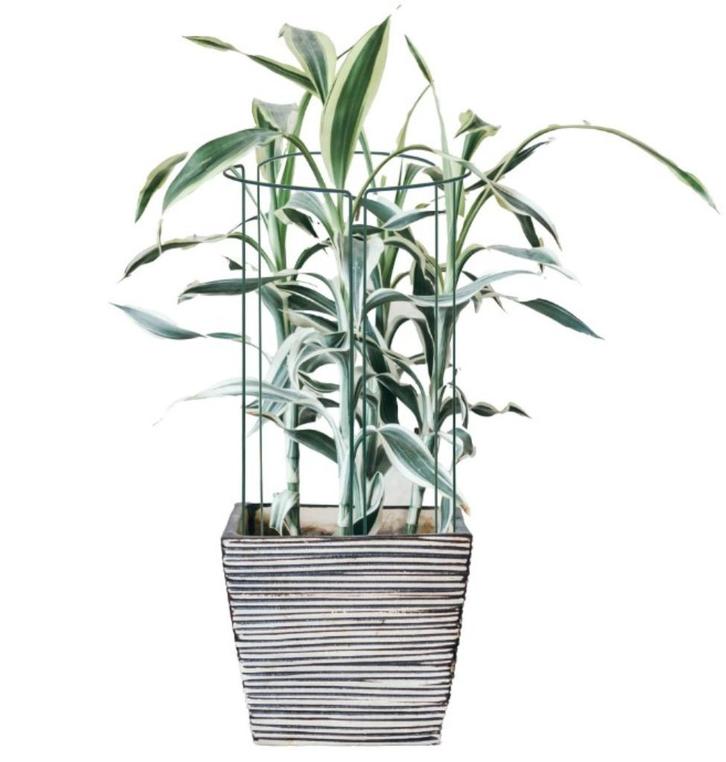 Plantensteun - Metaal - Bloemen - Groen - Set Van 3 - 75 Cm, Huis en Inrichting, Kamerplanten, Overige soorten, Minder dan 100 cm