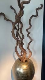 Lianen (dik) takken 5 stuks, Ophalen