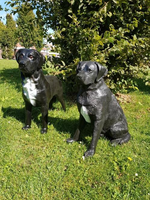 Zwarte Labradors, Tuin en Terras, Tuinbeelden, Nieuw, Dierenbeeld, Kunststof, Ophalen