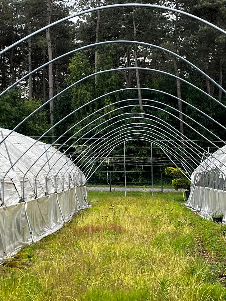 Tunnelbogen, Tuin en Terras, Kassen, Zo goed als nieuw, Overige materialen, Overige materialen, Ophalen