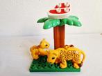 Duplo dierentuin safari dieren jachtluipaard luipaard, Kinderen en Baby's, Speelgoed | Duplo en Lego, Ophalen of Verzenden, Gebruikt